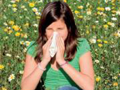 Аллергия на пыльцу растений