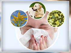 Панель 70 распространенных алергенов